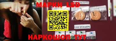 крисы Ставрополь