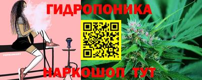 крисы Ставрополь