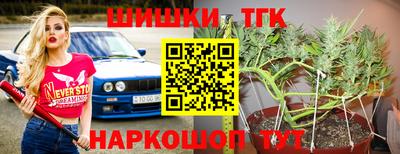 крисы Ставрополь