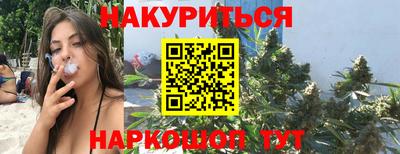 крисы Ставрополь