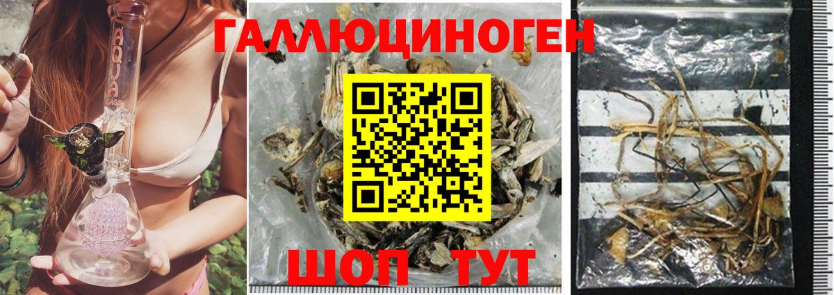 Псилоцибиновые грибы мицелий  Вход с VPN  Пенза 
